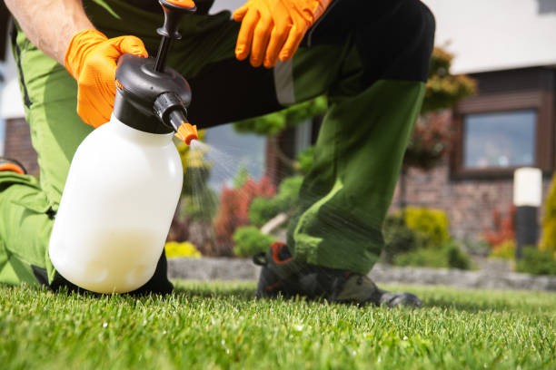 Best Rat Extermination Near Me  in Mountlake Terrace, WA