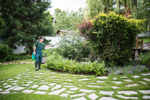 Best Mosquito Control Services  in Mountlake Terrace, WA