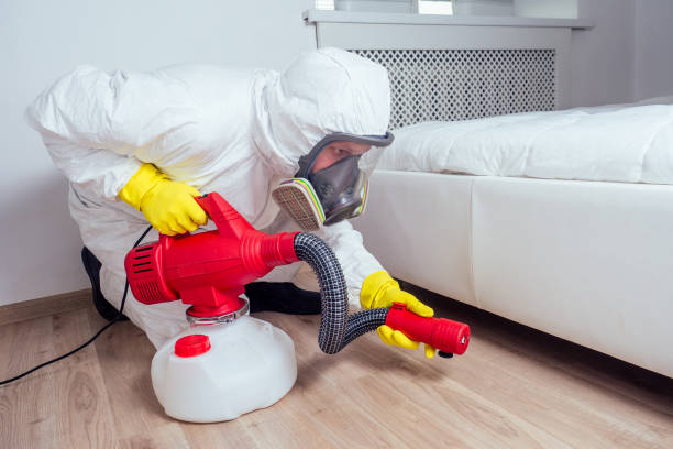 Professional Pest Control in Mountlake Terrace, WA
