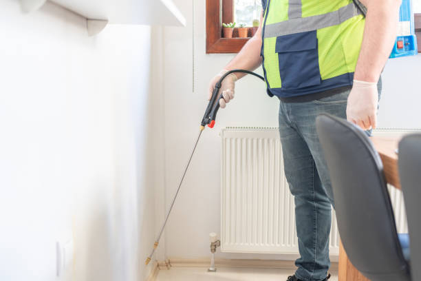 Best Wasp Removal Services  in Mountlake Terrace, WA
