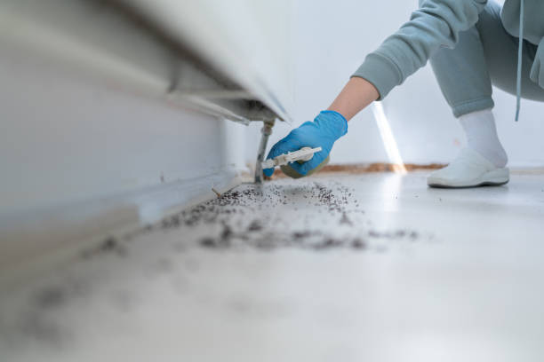 Best Best Pest Control Companies  in Mountlake Terrace, WA